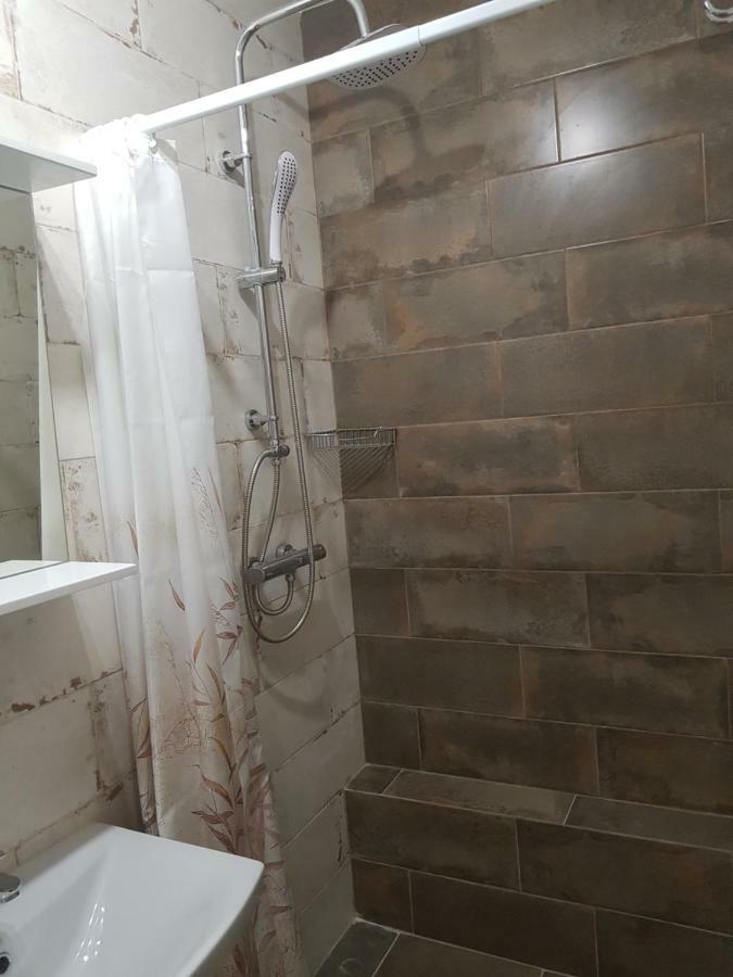 Silver Star Apartment 40M Ужгород Екстер'єр фото